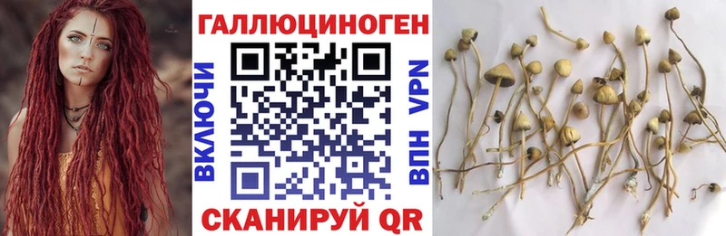 Псилоцибиновые грибы ЛСД Иркутск