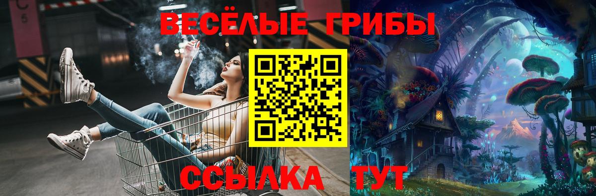 Псилоцибиновые грибы Cubensis  Вход с VPN  Псилоцибиновые грибы GOLDEN TEACHER  где найти   Иркутск 