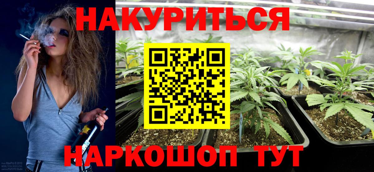 Шишки марихуана ГИДРОПОН  Конопля OG Kush  Иркутск  Вход с VPN 